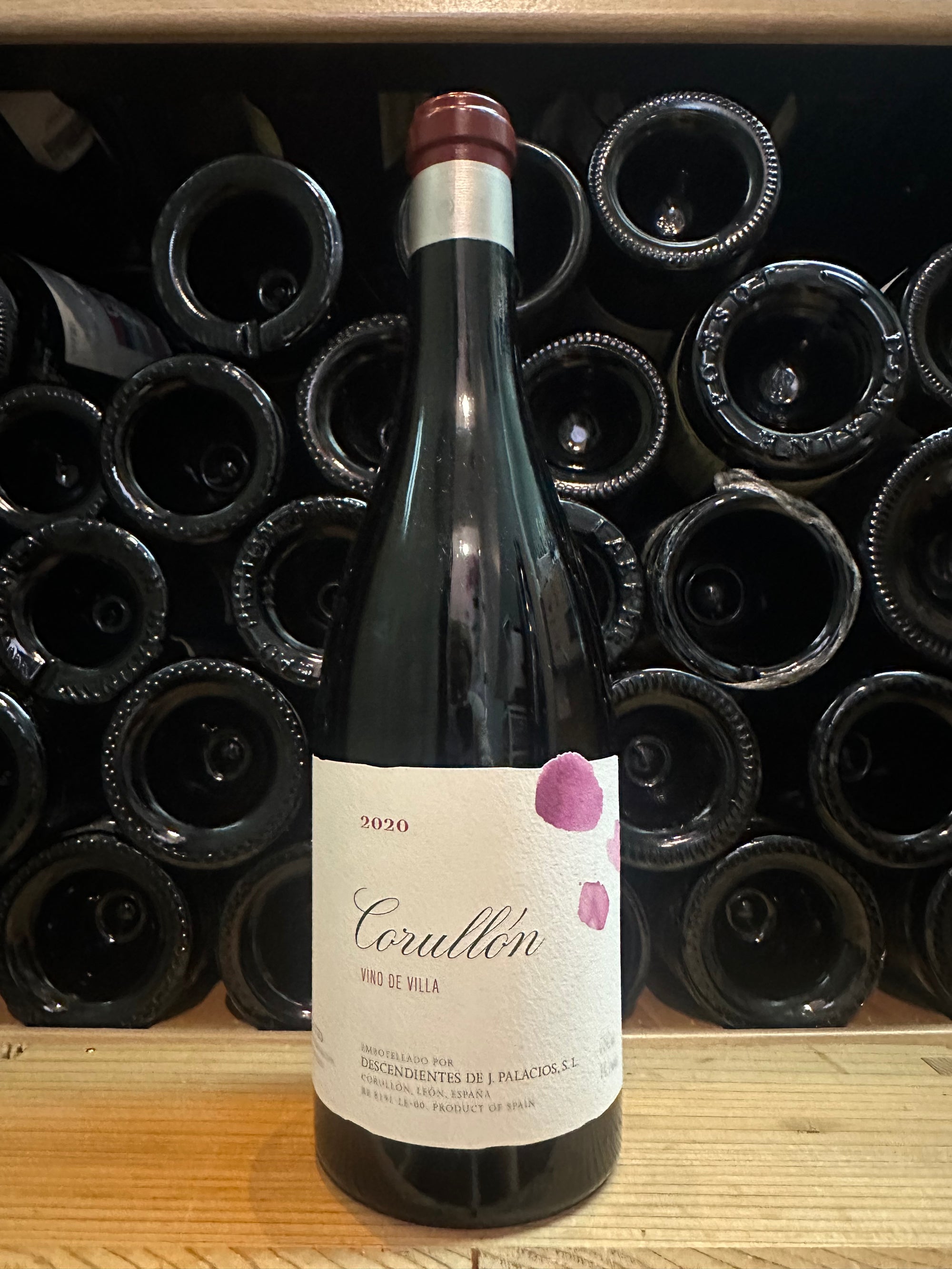 Descendientes de J. Palacios Villa de Corullon 2020