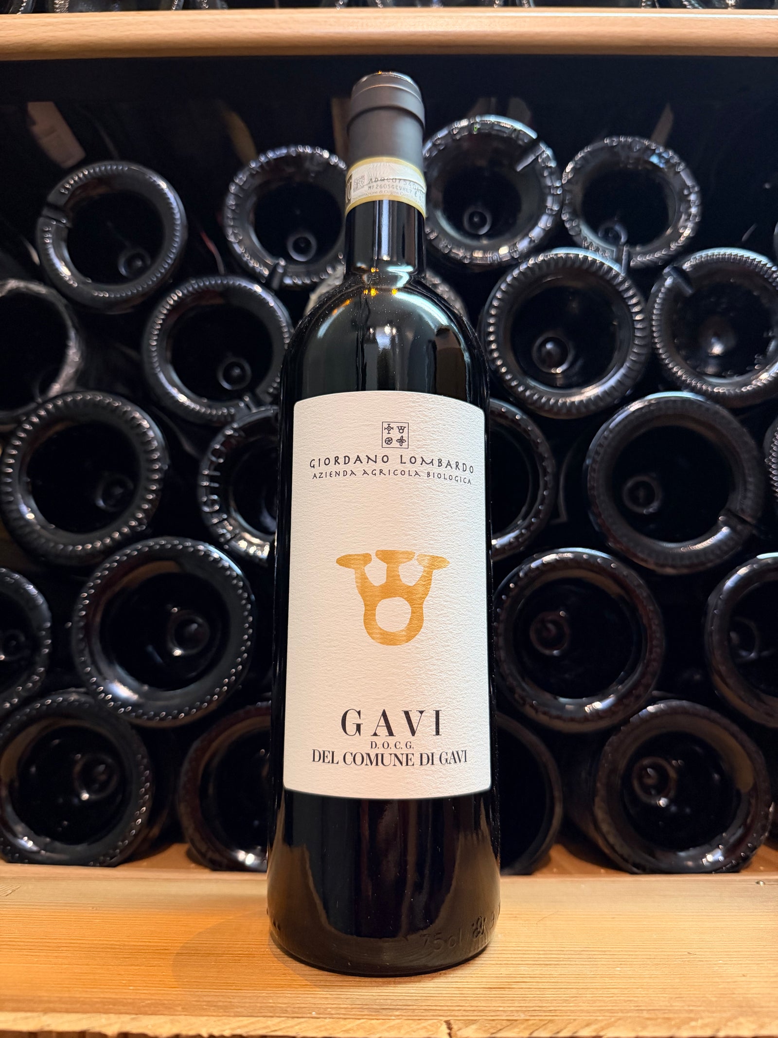 Giordano Lombardo Vigne di San Martino 2024