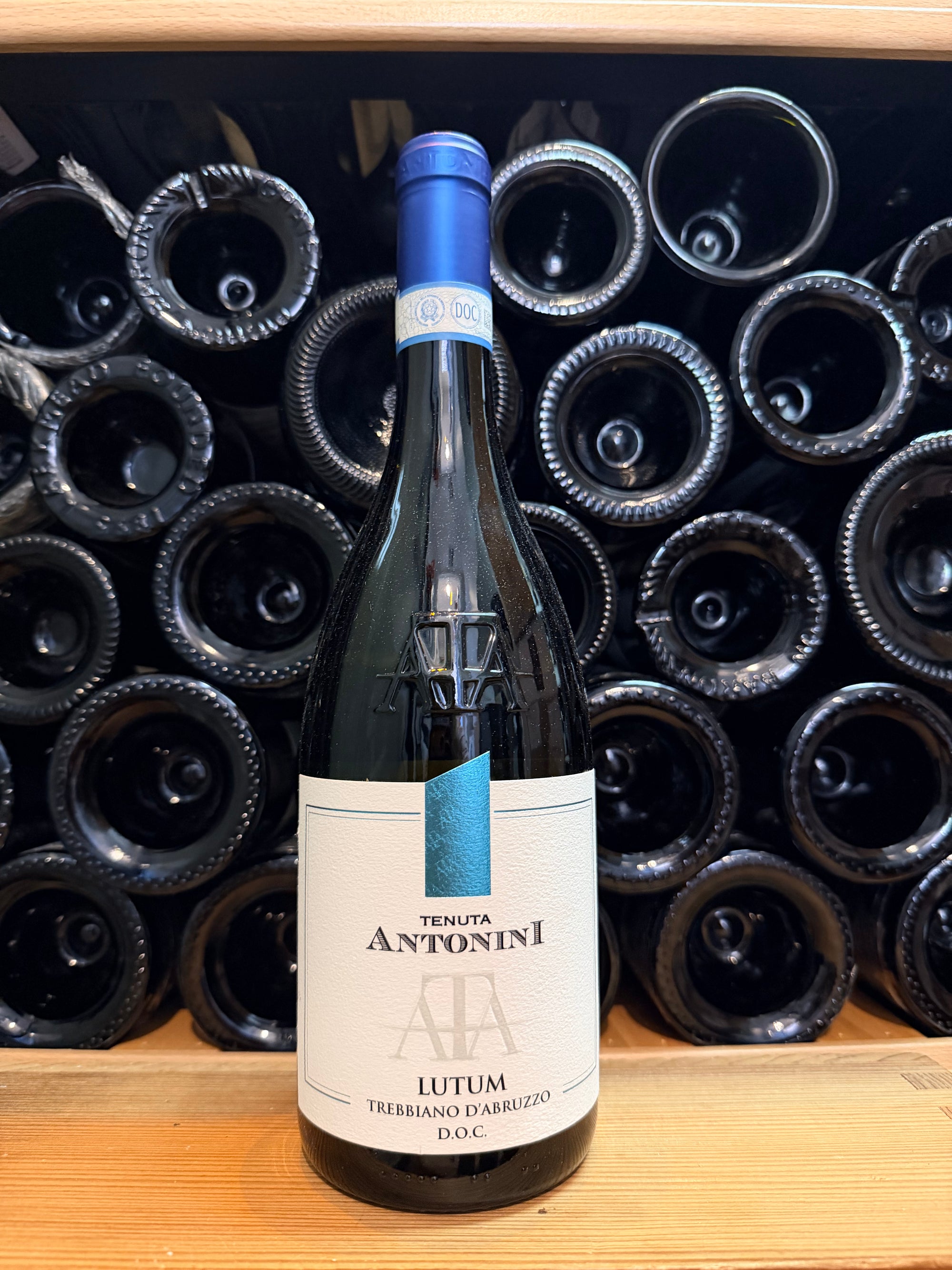 Tenuta Antonini Trebbiano d'Abruzzo DOC 2023