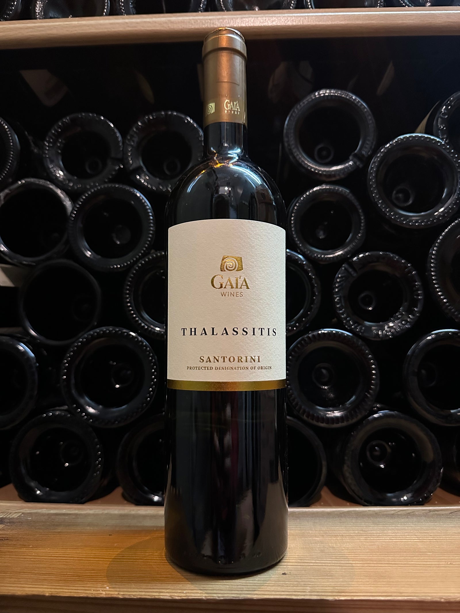 Gaia Thalassitis 2024