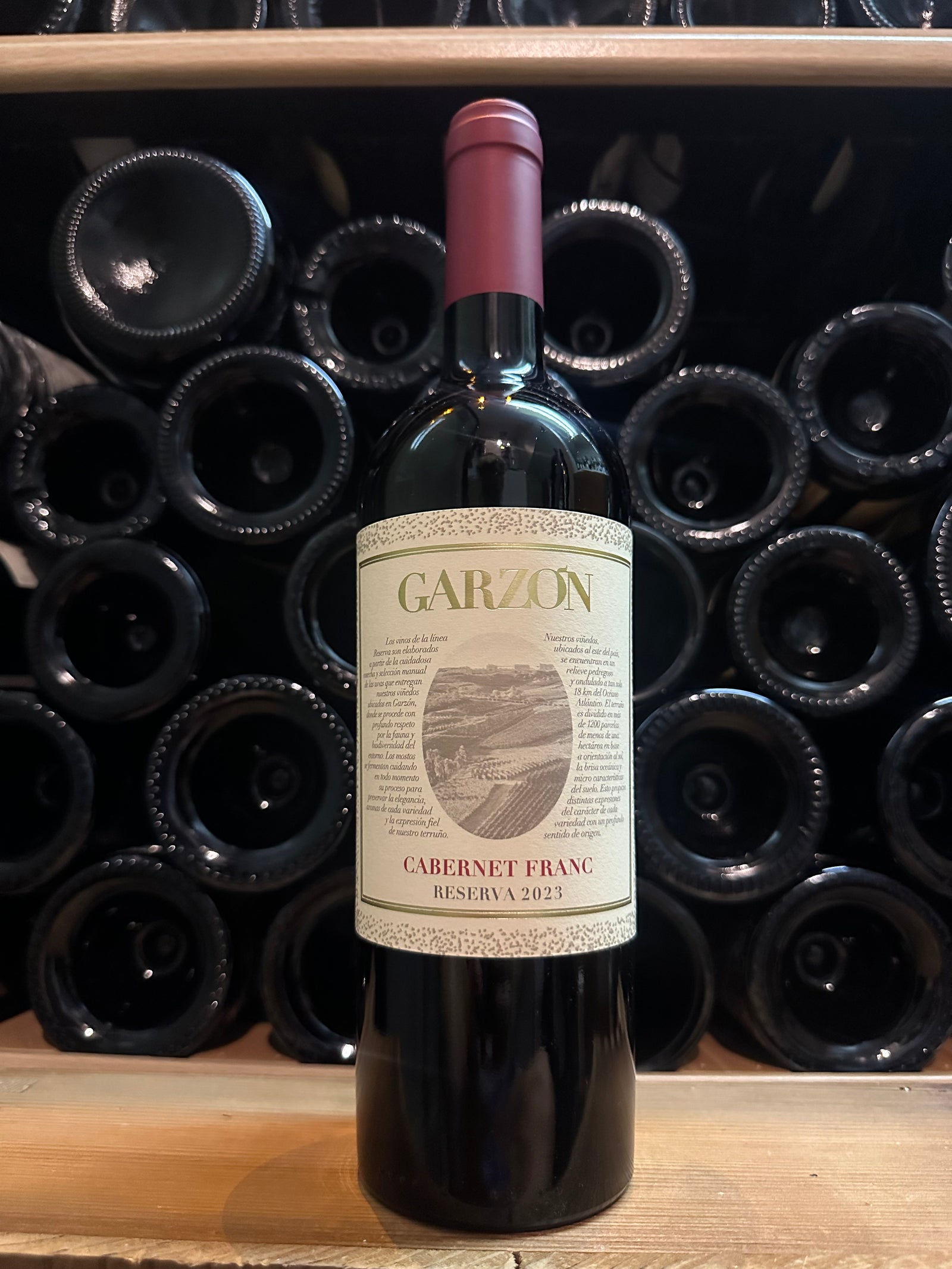 Garzon Cabernet Franc 2023