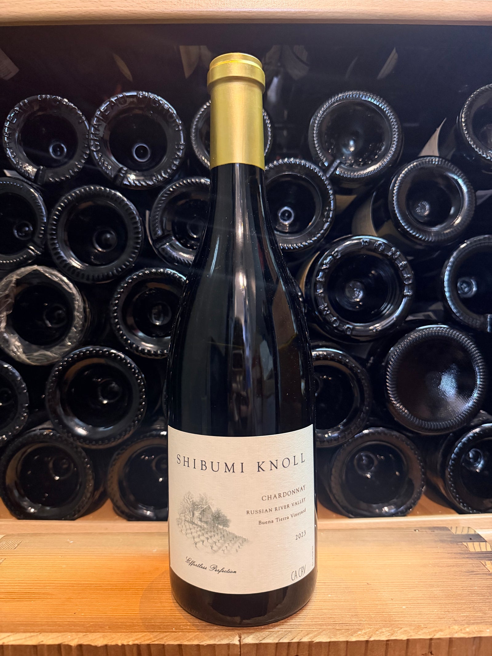 Shibumi Knoll Chardonnay Buena Tierra Vineyard 2023