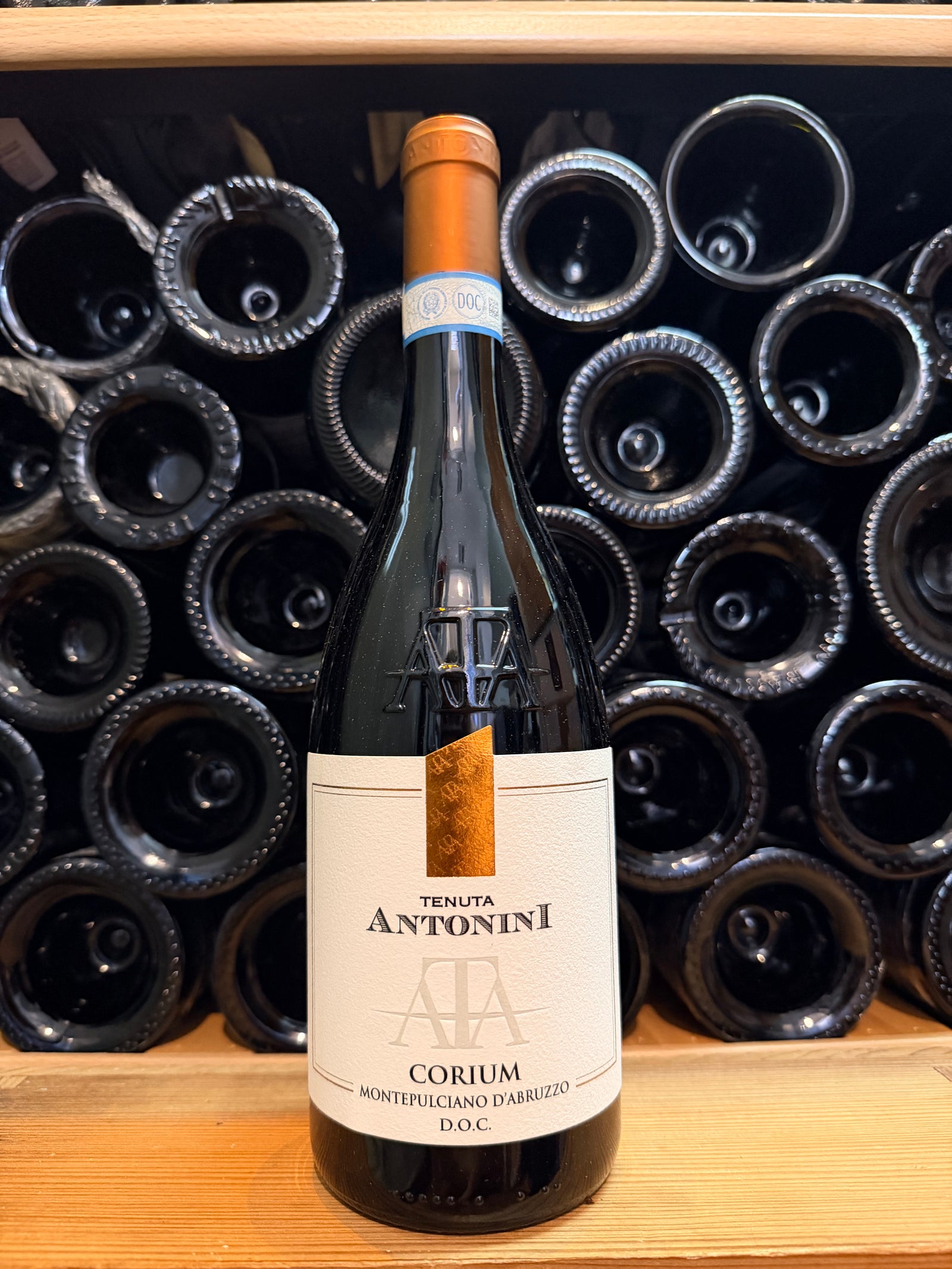 Tenuta Antonini Montepulciano d'Abruzzo 2023