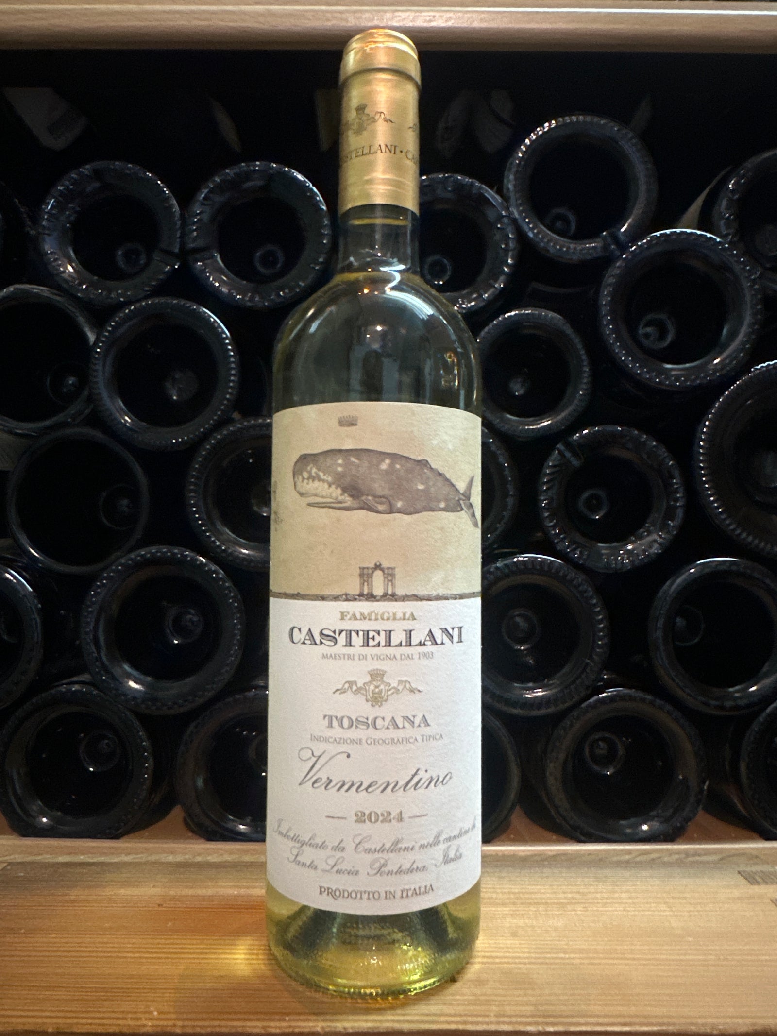 Famiglia Castellani Vermentino 2024