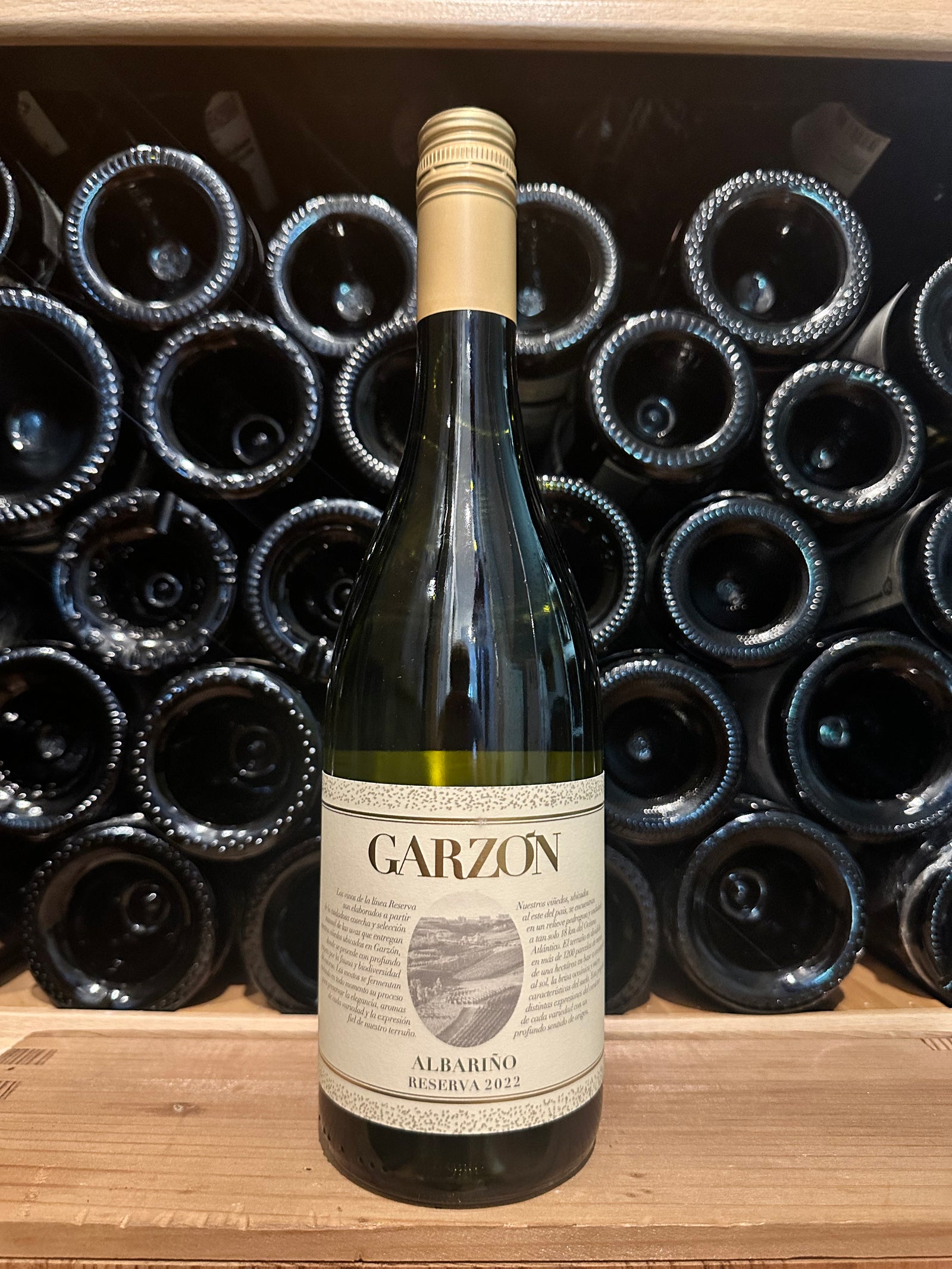 Garzon Albariño Reserva 2022
