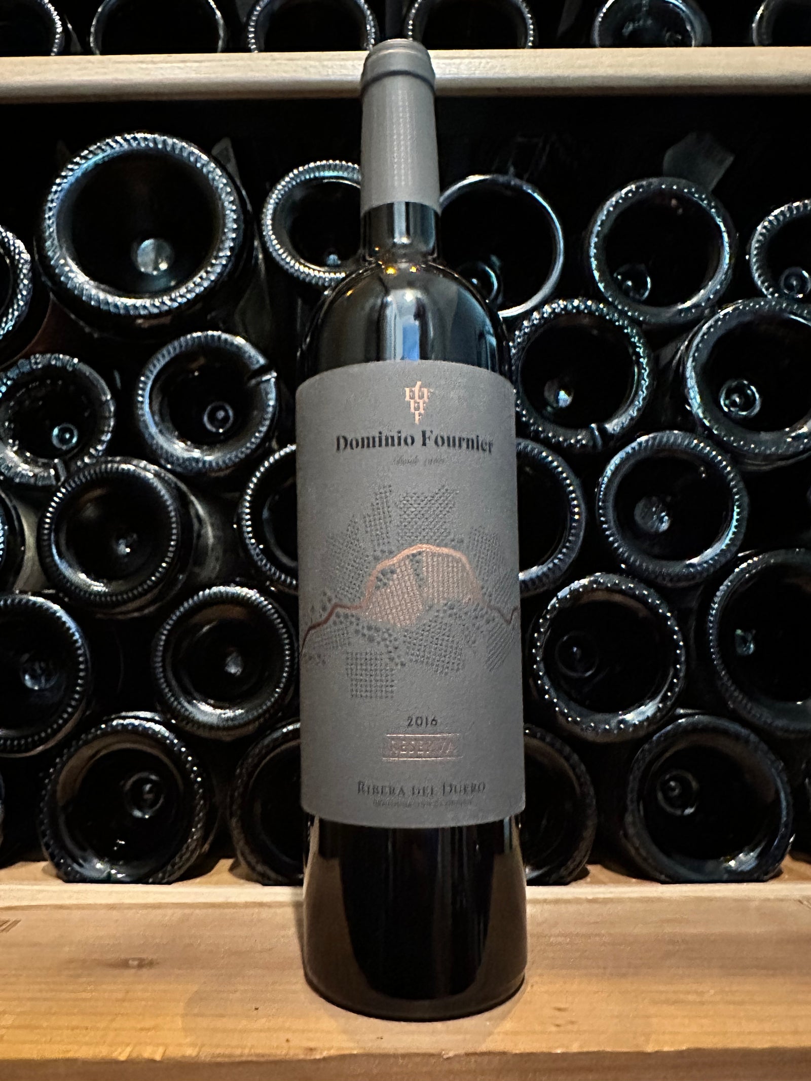 Domino Fournier Reserva 2016