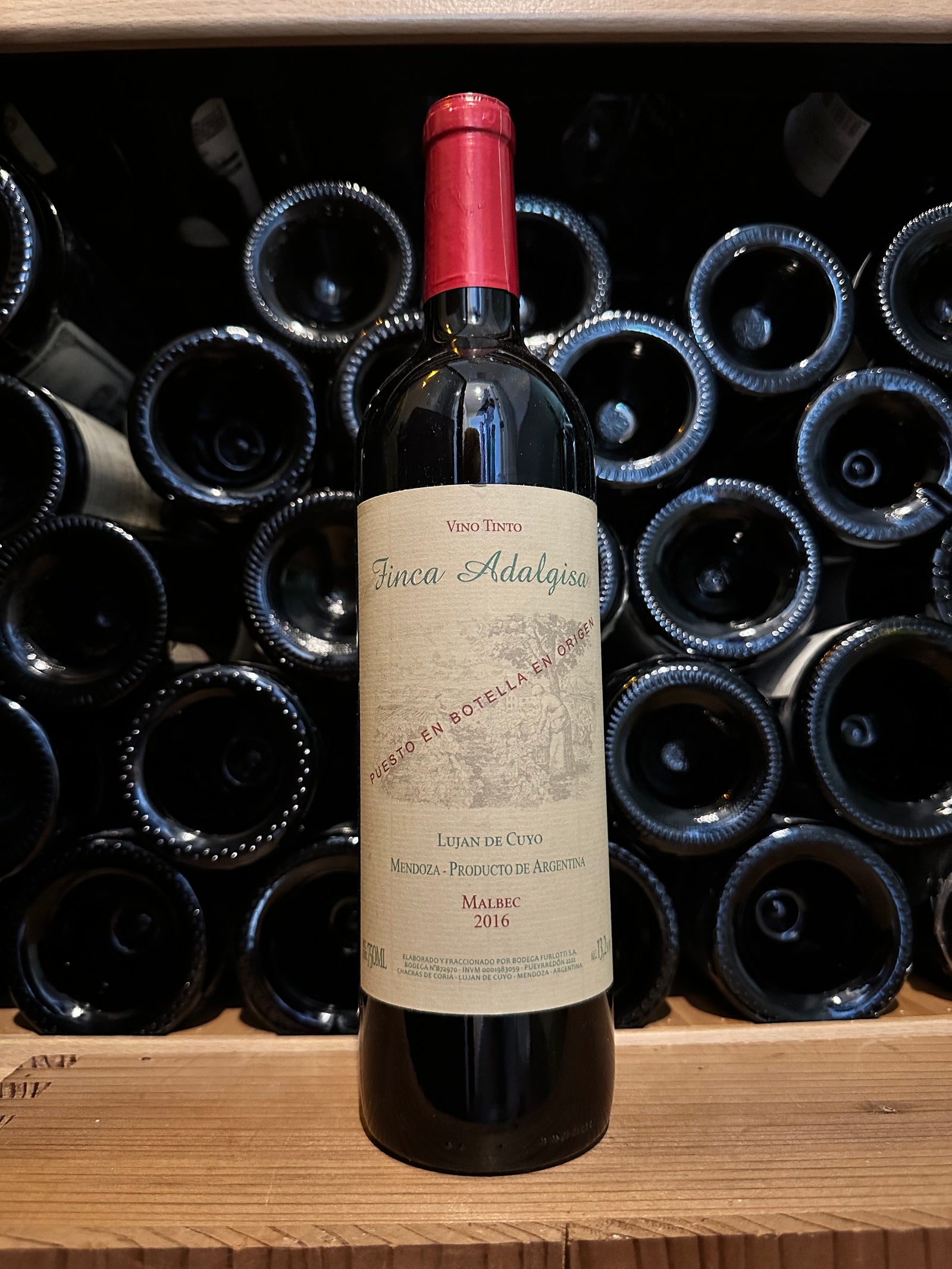 Finca Adalgisa Malbec Lujan de Cuyo 2018